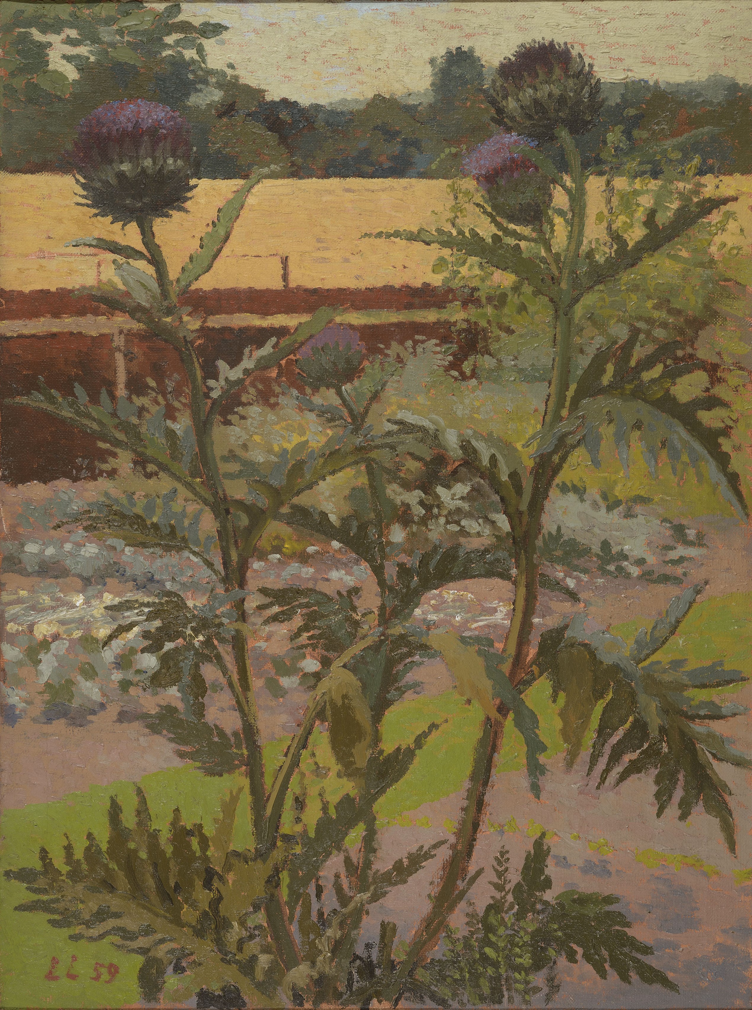 Lynton Lamb (1907-1977) Cardoons in the Garden